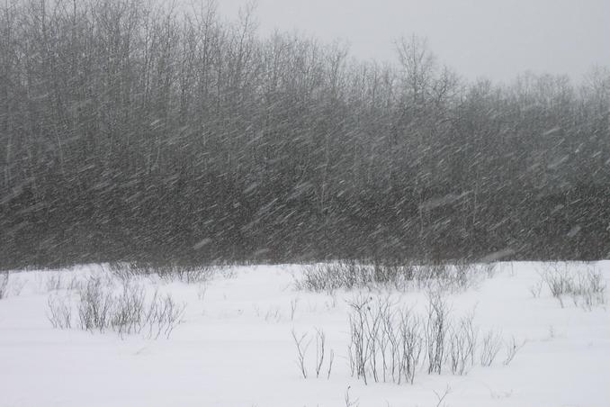 East view and snow falling