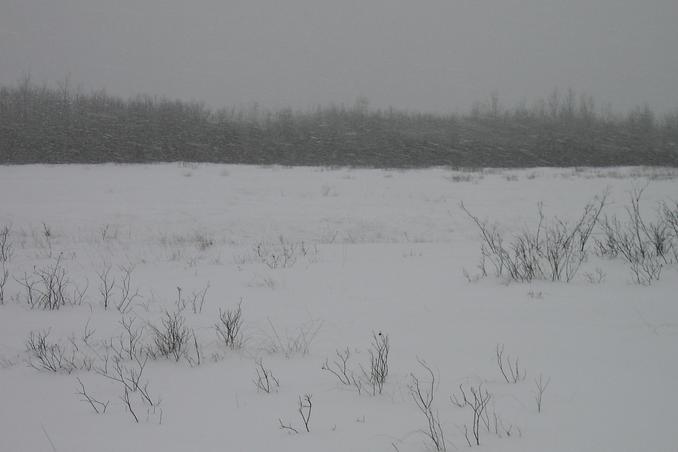 South view and snow falling