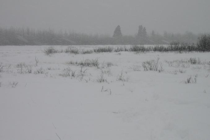 West view, snow falling and windy