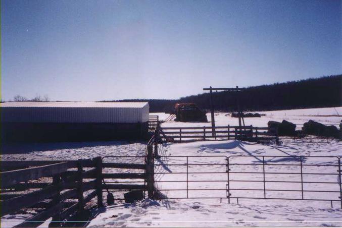 facing south, looking towards Riding Mountain National Park.