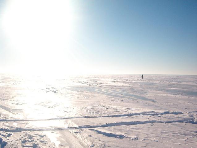 Facing South with bright winter sun