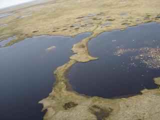 #1: View of the confluence situated in between the lakes from approximately 100 feet in the air.