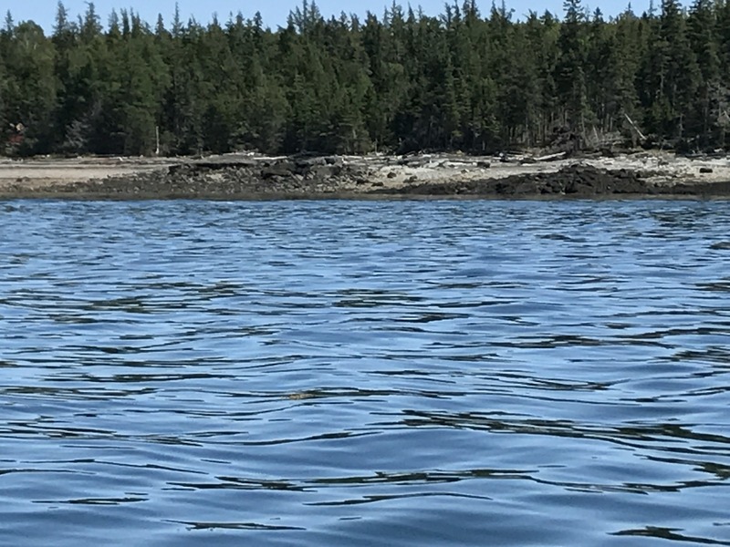 View to the east of beach on Deer Island, NB Canada