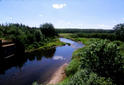 #6: This stream may provide an alternate route to the confluence.