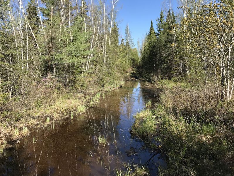 Submerged trail en route to the confluence point.  