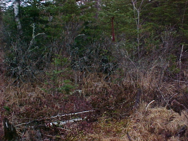 General view of the confluence