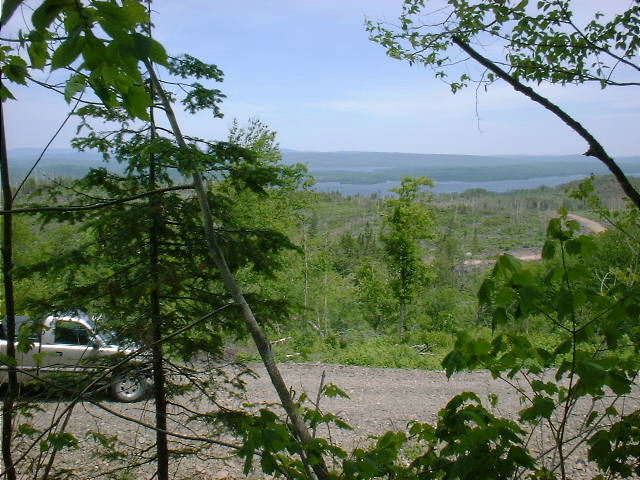 The view East 50 feet from the confluence