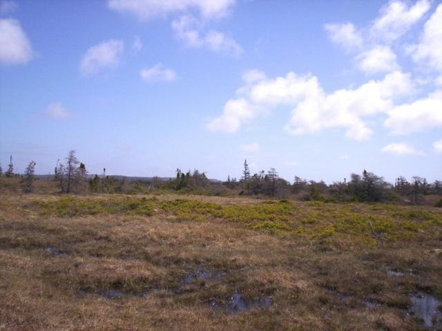 Looking east from confluence