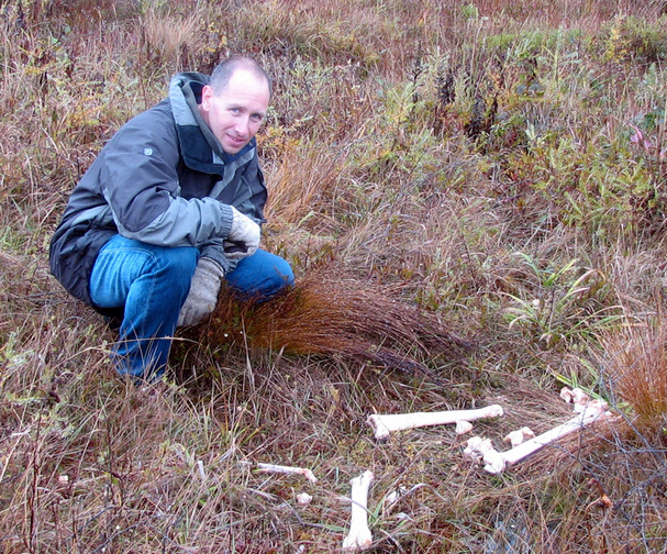 Todd looks at moose bones.