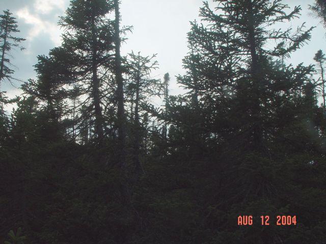 Looking west from the confluence