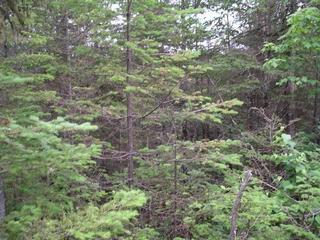 #1: View of confluence area and south of it