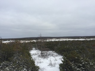 #1: View of confluence point from 80m SW