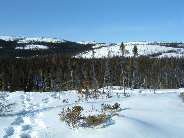 About 0.25 km to the site, looking north!