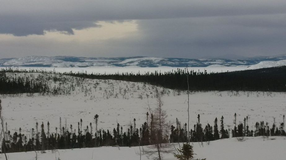 The Mealy Mountains - Almost on site