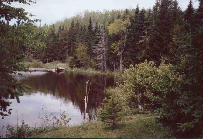 The confluence is across the pond, just above the bare tree.