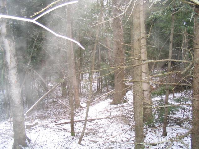 Looking W from the confluence