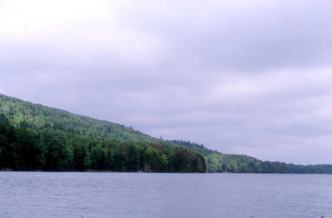 The view looking east from the actual confluence point.