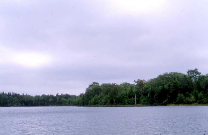 The view looking south from the confluence.