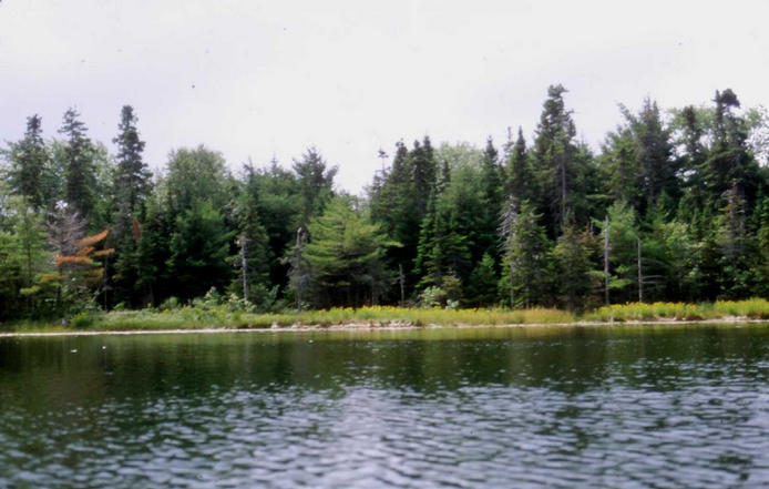 The view looking west from the confluence.