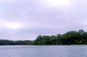 #3: The view looking south from the confluence.