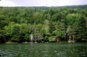 #5: The view looking north from the confluence.