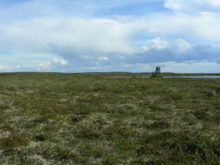 #1: Looking south from the confluence