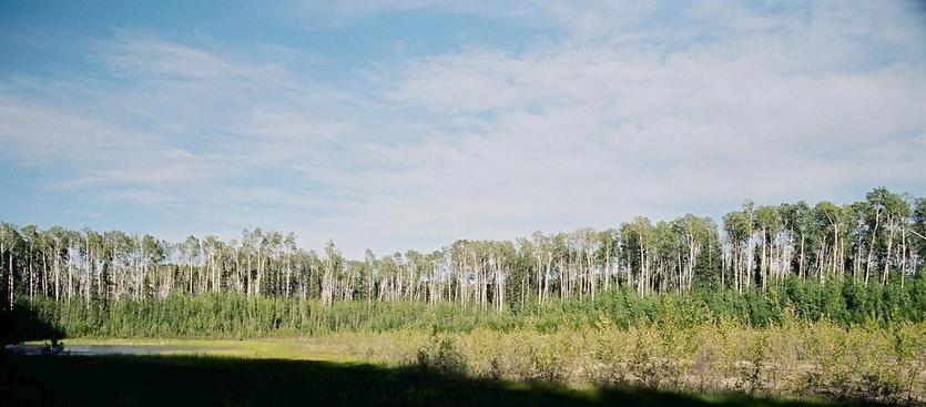 open area between the highway and the confluence, with pond to the left