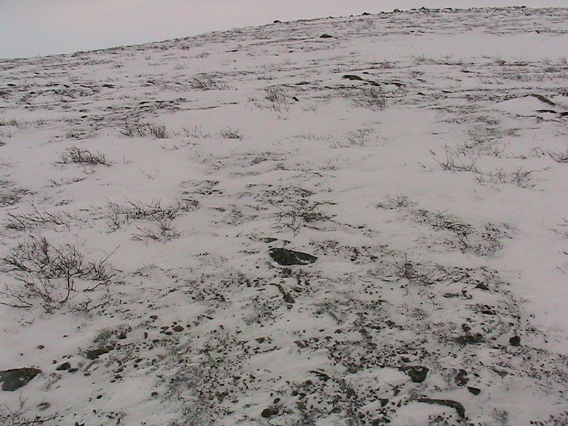 The confluence is just below the rock that is in the lower center of photo