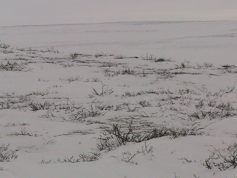 From the confluence looking East. There are some differences in scenery between the cardinals of the compass, they are however slight in this area.