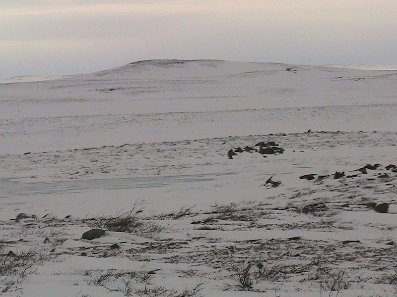 From the confluence looking South. This is the direction that we came from on our snow machines. 