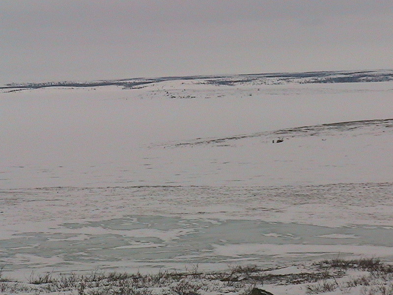 From the confluence looking West at Artillery Lake and beyond the lake is the tree line.