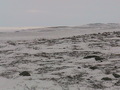 #2: From the confluence looking North. 