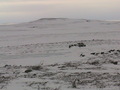 #4: From the confluence looking South. This is the direction that we came from on our snow machines. 