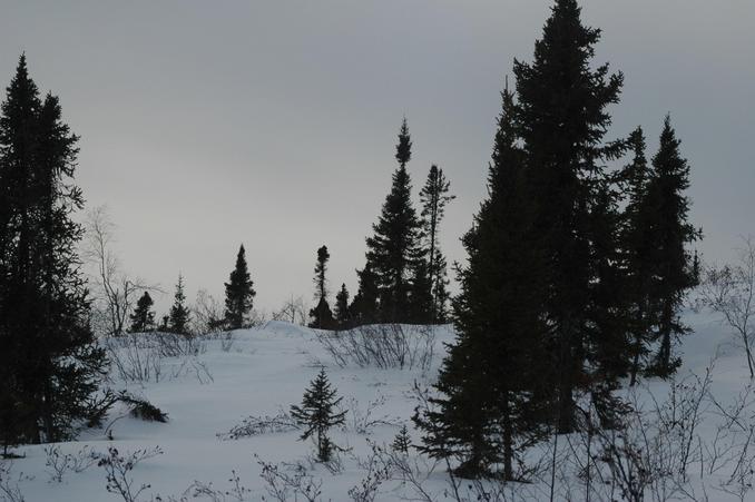 Looking south from confluence point