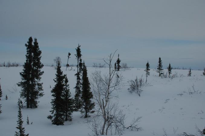 Looking west from confluence point