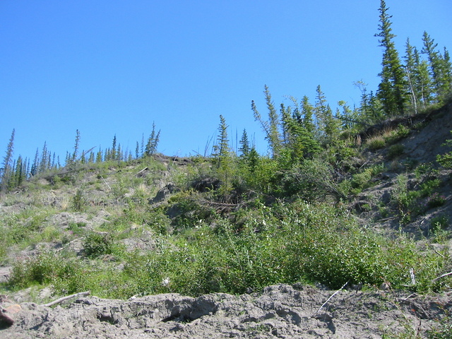 View towards the confluence from the river