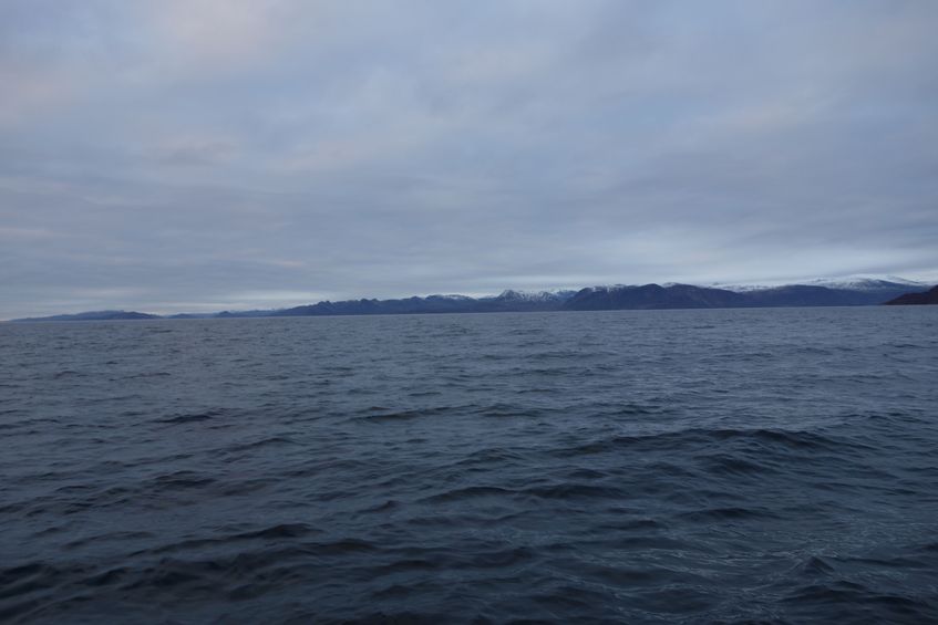 View to the north from the confluence