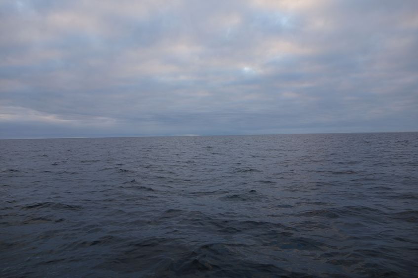 View to the west from the confluence