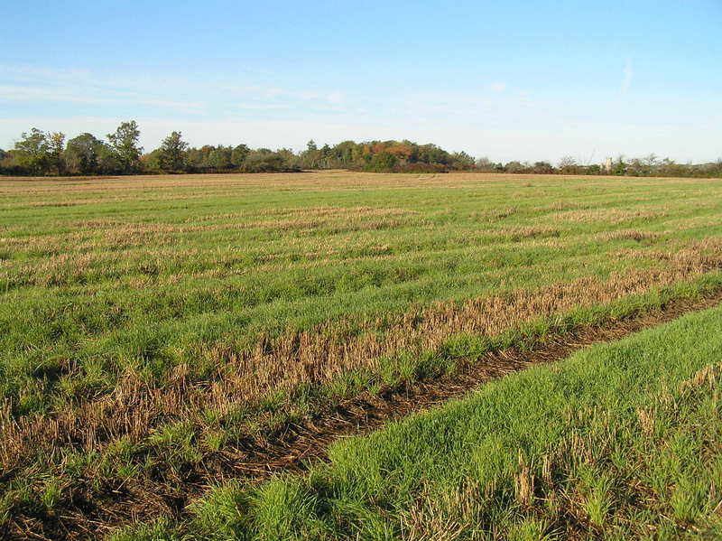 View to the southwest from the confluence.