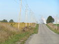 #8: View along the nearest road to the north of the confluence, looking northwest.