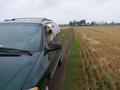 #8: Max at the confluence. You can see the track we drove in on.