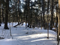 #8: View to the west from the confluence point. 