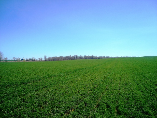 Vista hacia el Norte - View to the North