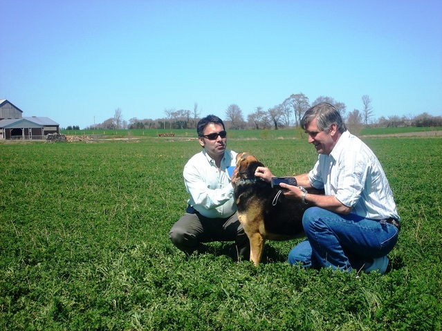 Edgar y Raul con el perro de Barmet -Edgar and Raul with Barmet´s dog