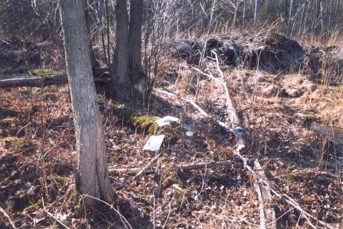 The confluence point is between the tree and the 2 pieces of paper