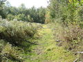 #7: Trail near confluence