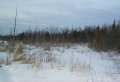 #6: A view on the approach, looking north across swamp