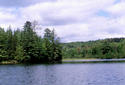 #5: Looking north from the confluence.