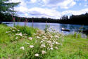 #8: Wildflowers on the shore and Mark returning in his boat.