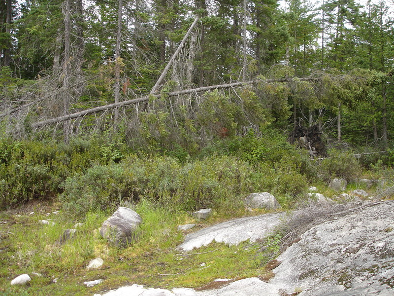 General View of Confluence Point